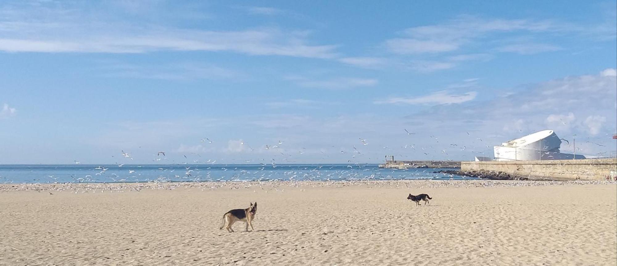 Maria Do Mar_as Tres Marias Matosinhos (Porto)